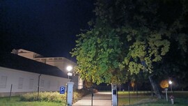 Bajna