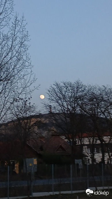Dorog