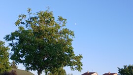 Bajna