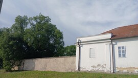 Bajna