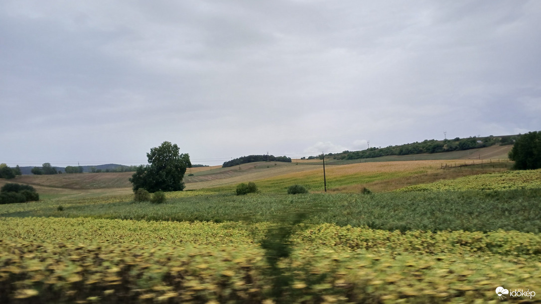 Bajna