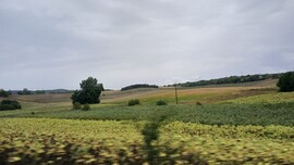 Bajna