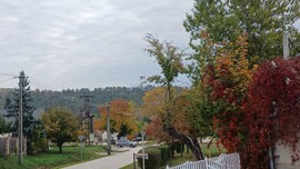 Bajna