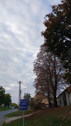 Bajna