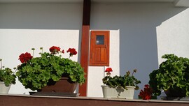 Bajna