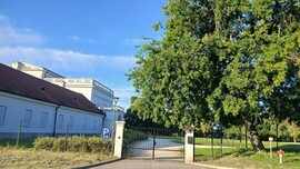 Bajna