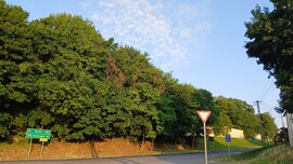 Bajna