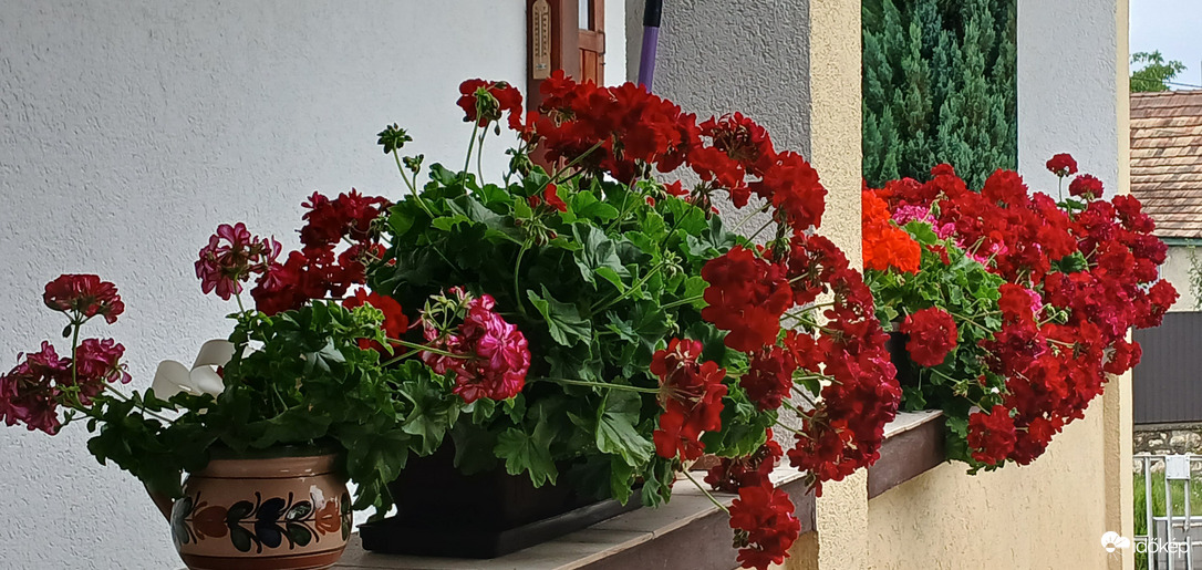 Bajna