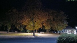 Bajna