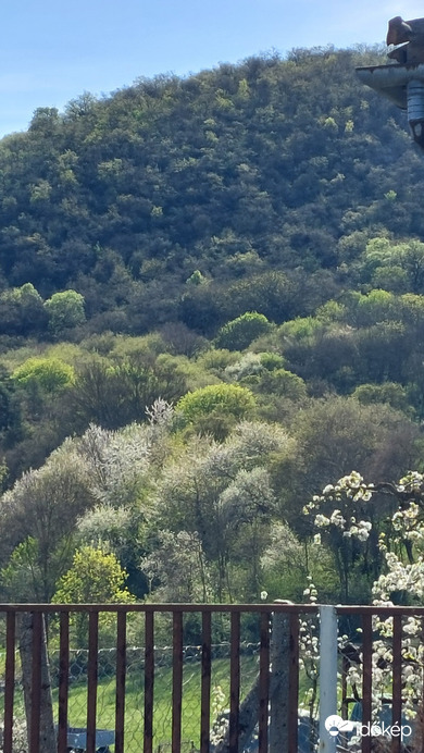 Bajna