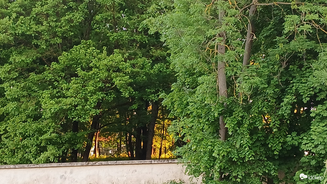 Bajna
