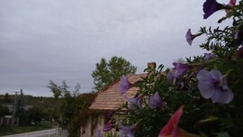 Bajna