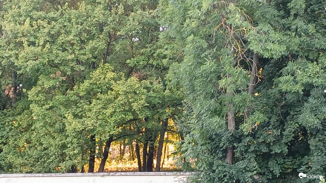 Bajna