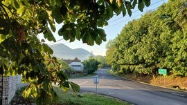 Bajna