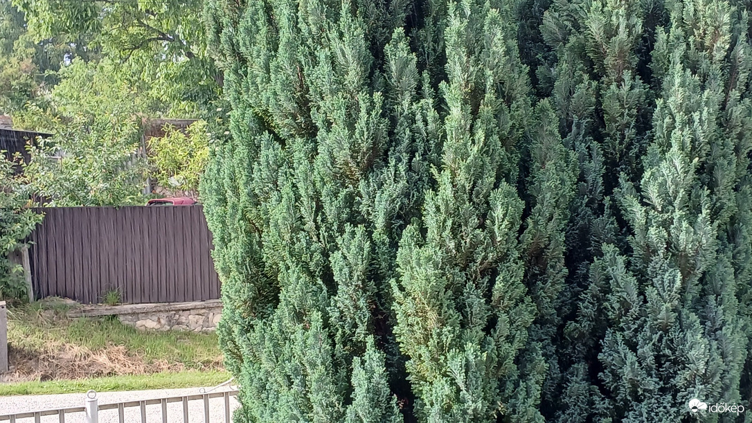 Bajna
