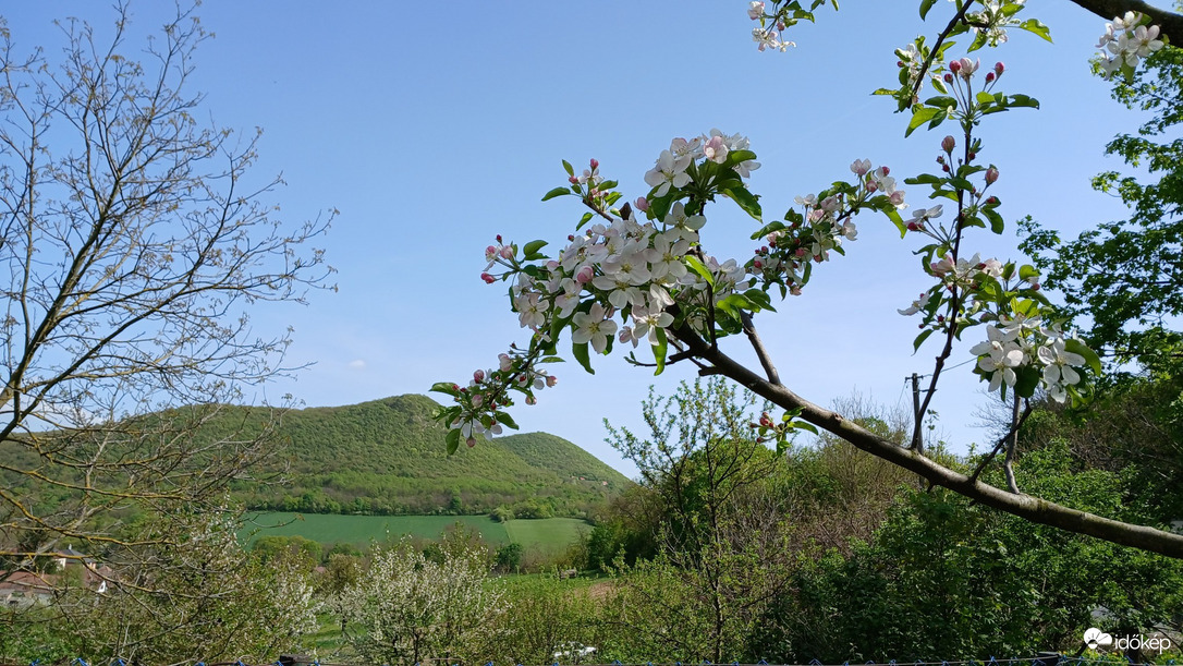 Bajna