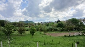 Bajna