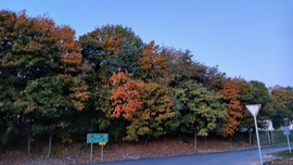 Bajna