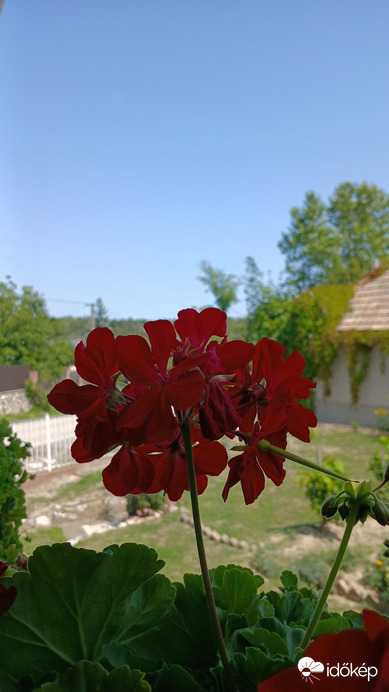 Bajna