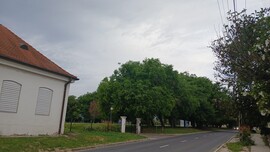 Bajna