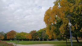 Bajna