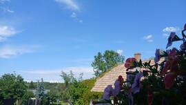 Bajna