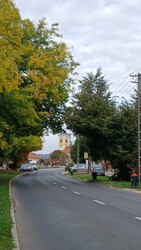 Bajna