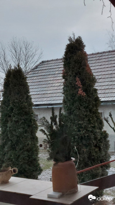 Bajna