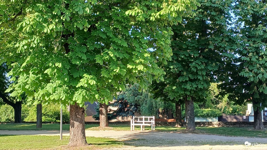 Bajna