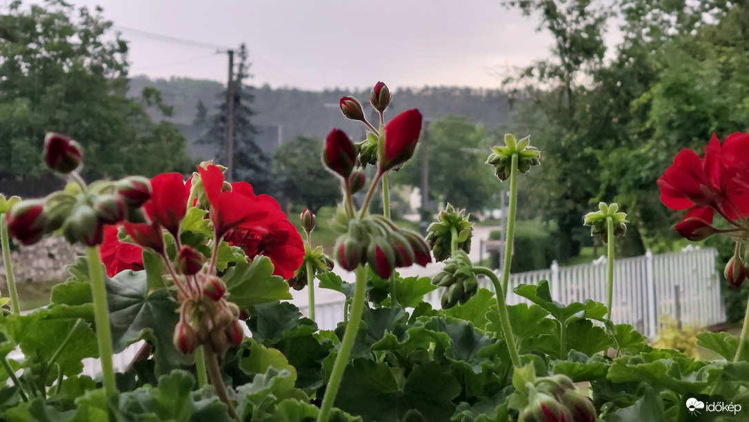 Bajna