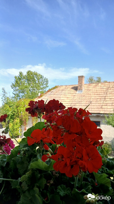 Bajna