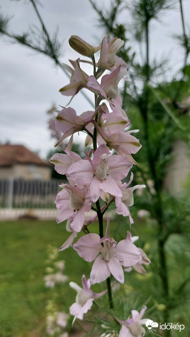 Bajna