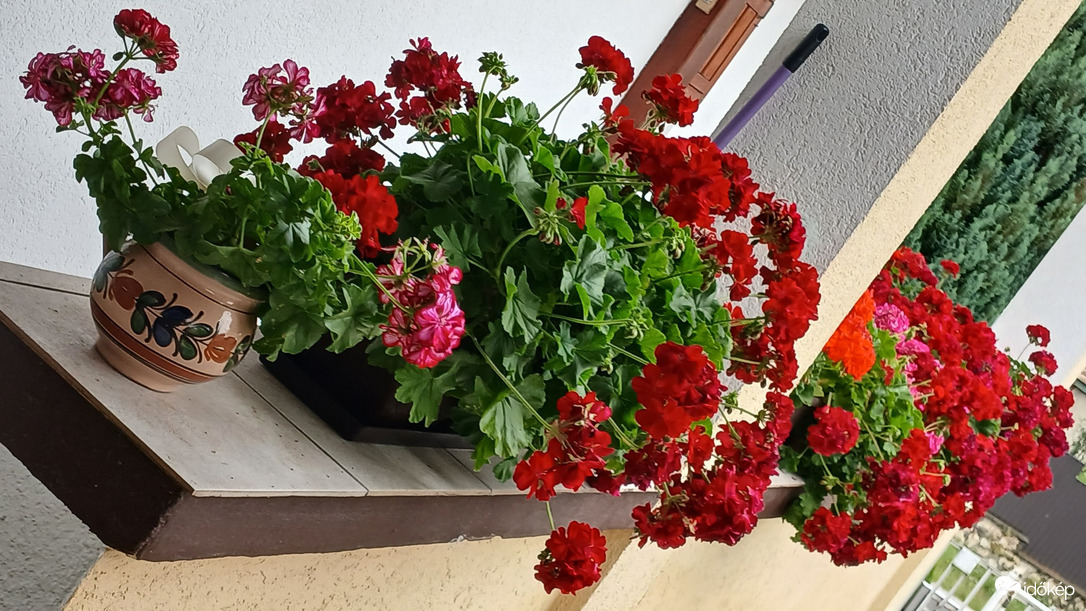 Bajna