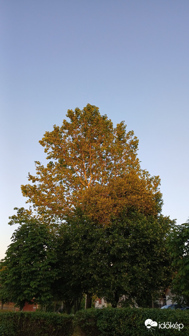 Bajna