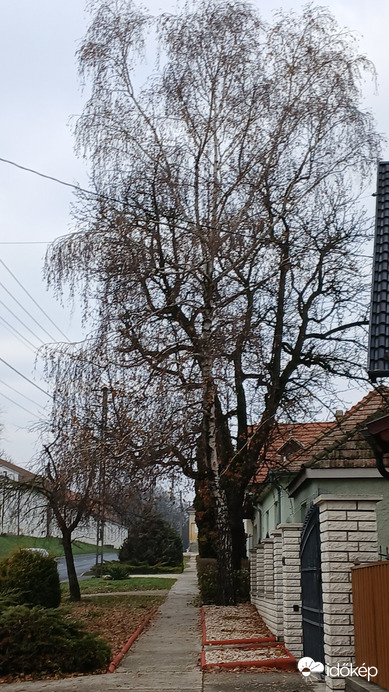 Bajna