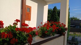 Bajna