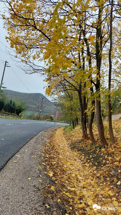 Bajna