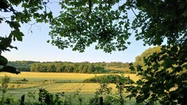 Bajna