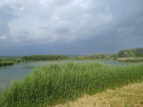 Sződ