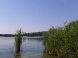 Pomáz