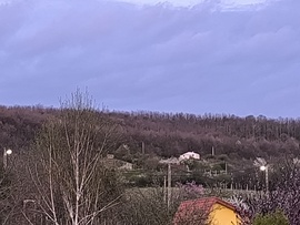 Kereki