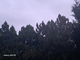 Budapest XXI.ker - Csepel