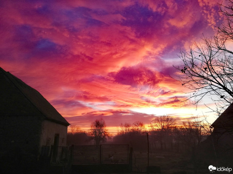Cún