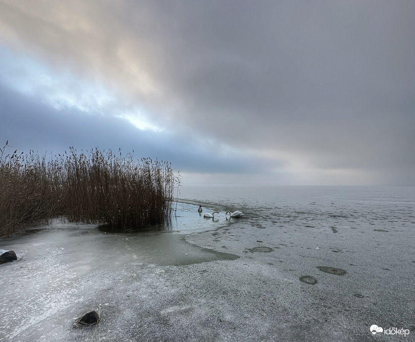 Ma reggel egy csipet rózsaszínnel