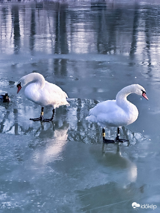 Mosolyszünet “vékonyjégen”
