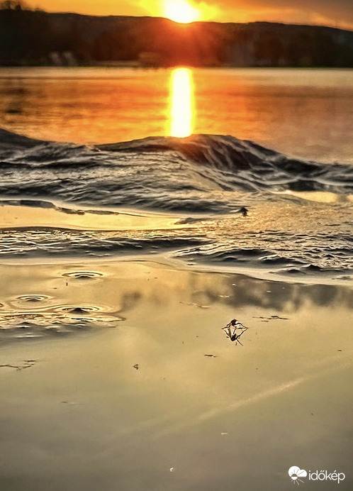 Fél mosollyal a semmibe meredni 