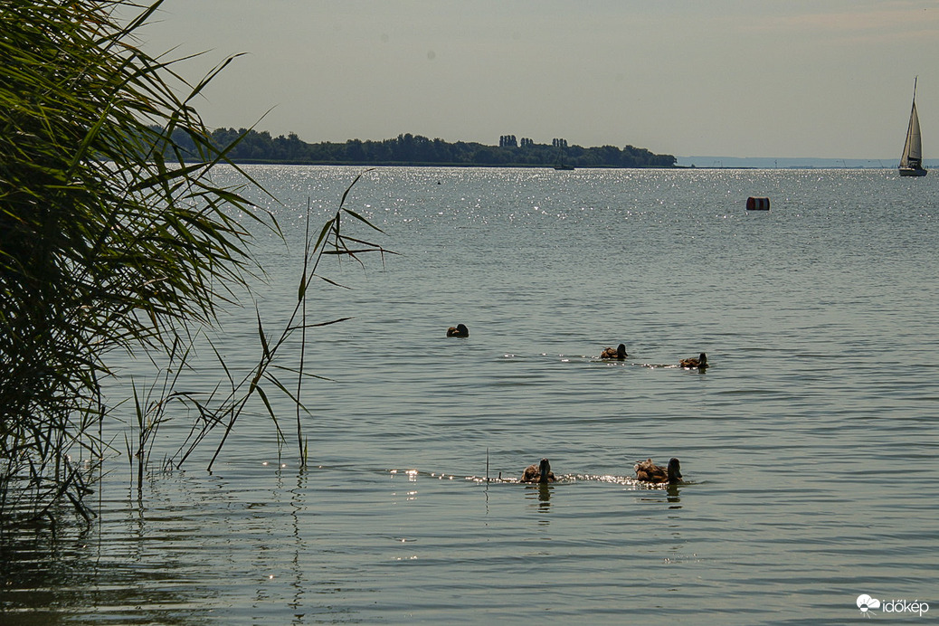 Beúsztak