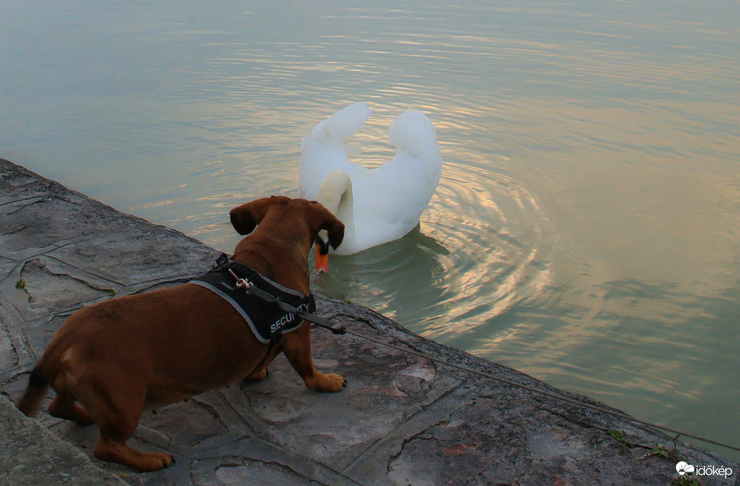 Figyelj csak, te mit hallottál, milyen idő lesz? 