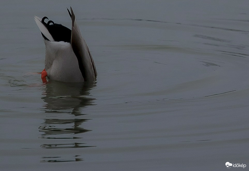 Maradok így, míg kisüt a nap…