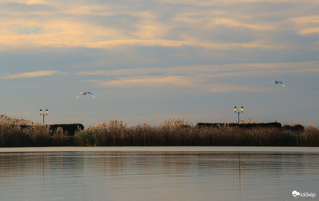 Röptében fáradt színekben 
